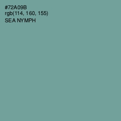 #72A09B - Sea Nymph Color Image